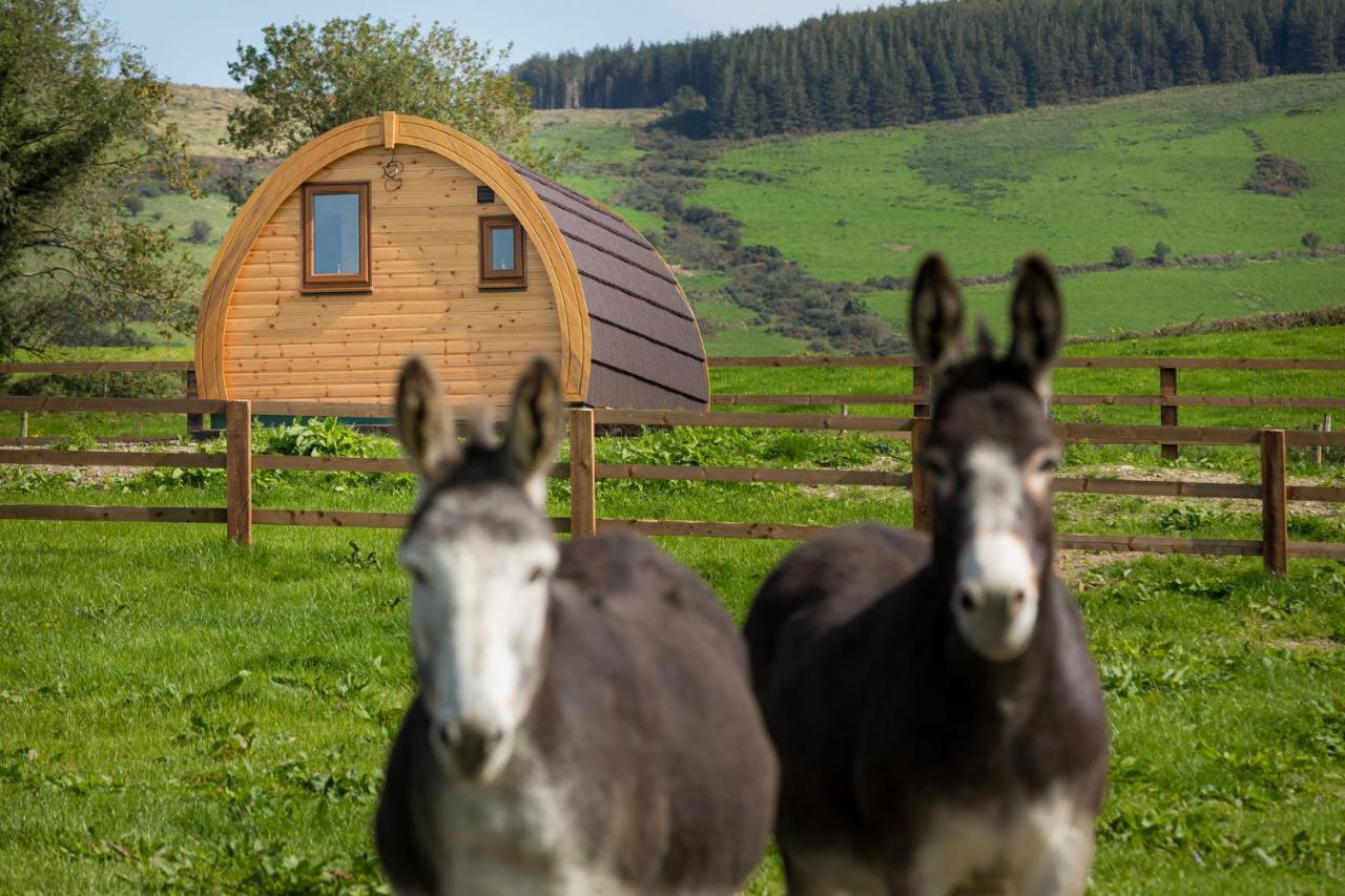 فيلا Kilbaneفي Luxury Two-Bed Glamping Pod In County Clare 2 المظهر الخارجي الصورة