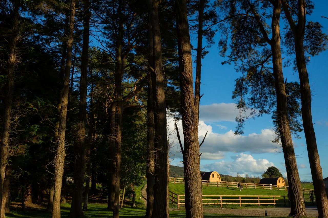 فيلا Kilbaneفي Luxury Two-Bed Glamping Pod In County Clare 2 المظهر الخارجي الصورة